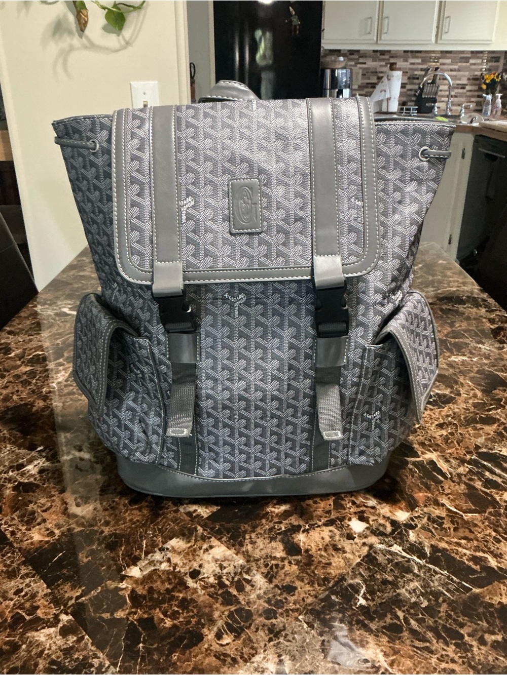 Goyard Gray leather Backpack